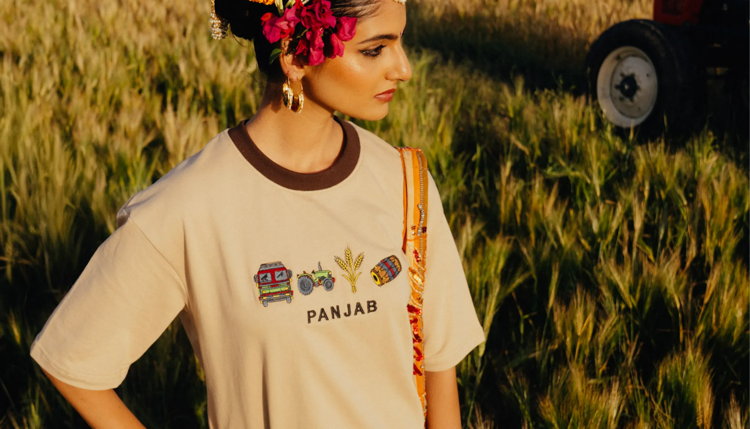 Punjab-Sammlung
